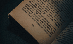 Featured image of post Novel